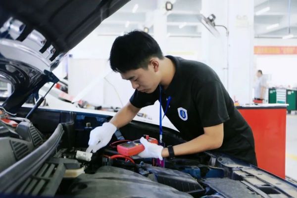图片 12.jpg 图片 12.jpg