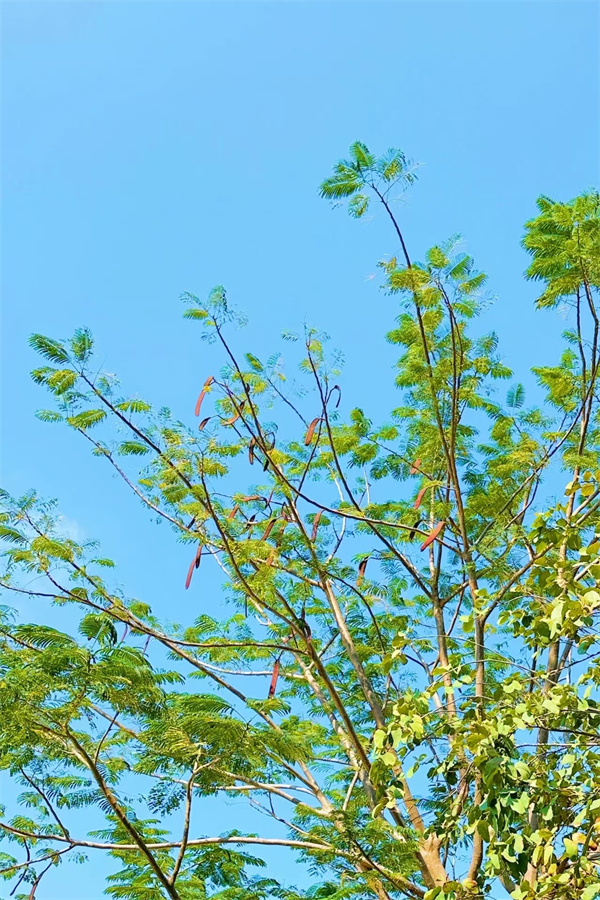4acae49e2eab195056053fd544a7b0d1.jpg